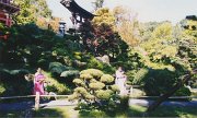022-Japanese Tea Garden